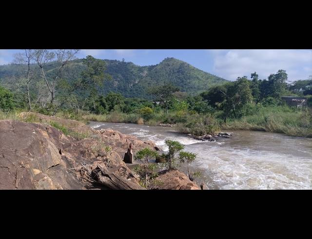 1,845HA FARM FOR SALE IN NGODWANA